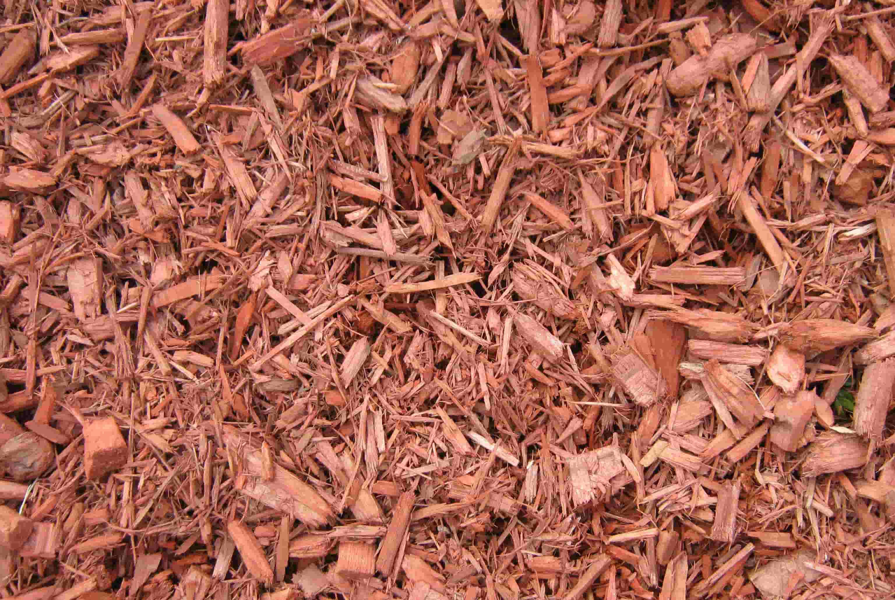 GC Delivery Services Breezy Hill Nursery Garden Center